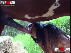 Brunette chick with large, natural tits licking on a massive horse cock [maturized horse sex]